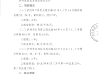 泸州昊成实业有限责任公司2026年第四批次招商公告