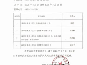 泸州昊成实业有限责任公司第二十四批次招商结果公示